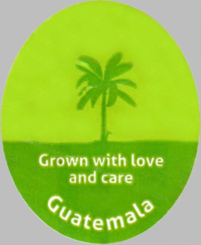 n_grown_with_love_and_care_guatemala.jpg