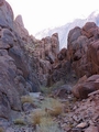 Mount Sinai #062.jpg