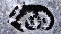 Lichen C02.jpg