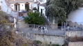 Ronda,  Plastic Cow A01.jpg