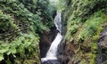 Glenariff Forest Park #C02.jpg