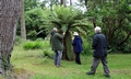 Mount Stewart #F05.jpg