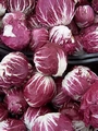 bettola_market_cabbage.jpg