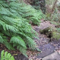 Footpath #016.jpg