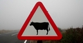 Road sign #026.jpg