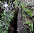 levada-at-Queimadas.jpg