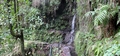 Levada at Queimadas #095.jpg