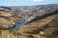 Douro 09.jpg
