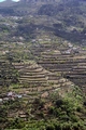 Douro Valley #084.jpg