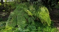 Jardim Bot�nico do Porto #033.jpg