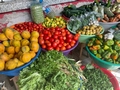 vegetables-01.jpg
