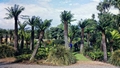 Logan Botanical Gardens #01.jpg