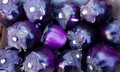 Randazzo market - aubergine #E02.jpg