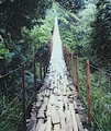 bridge_01.jpg