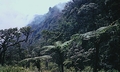 countryside_Horton Plains_05.jpg