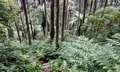 Above Xinxian, Wulai #B01.jpg