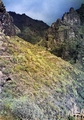 Barranco del Infierno #154.jpg