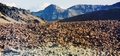 Teide National Park #078.jpg