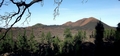 Chinyero Special Nature Reserve #027.jpg