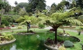 Jardim Duque da Terceira T20 #02.jpg