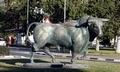 Bull #D01.jpg