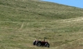 Tractor #A01.jpg