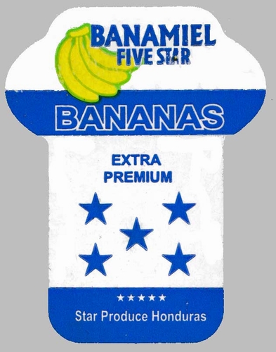 n_banamiel_five_star_extra_premium_honduras_2.jpg