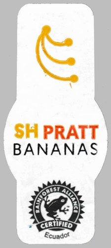 n_sh_pratt_bananas_ecuador__2_.jpg