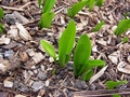 April-14-2005.jpg