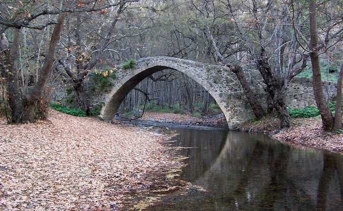 bridge_03.jpg