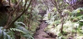 Faial Botanical Garden #003.jpg