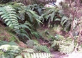 Faial Botanical Garden #007.jpg