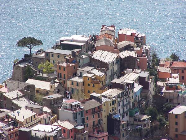 manarola_7.jpg