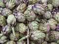 bettola_market_artichokes.jpg