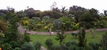 Jardim Bot�nico da Madeira #132.jpg