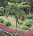 Jardim Botanico P01.jpg