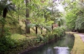 terra nostra gardens 8.jpg